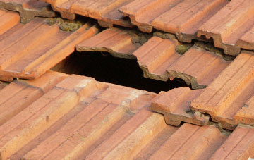 roof repair Mount Gould, Devon